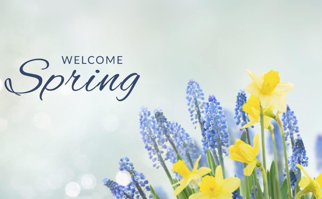 Transform your conservatory for Easter: